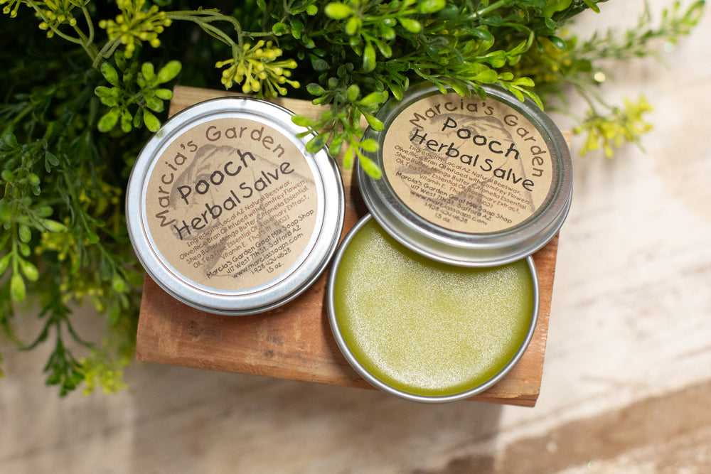 Pooch Herbal Salve